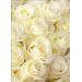 Фотообои YOUWALL Р140104 Белые розы 2,0х2,8м