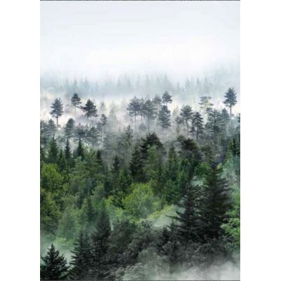 Фотообои YOUWALL Р140485 Туманный лес 2,0х2,8м